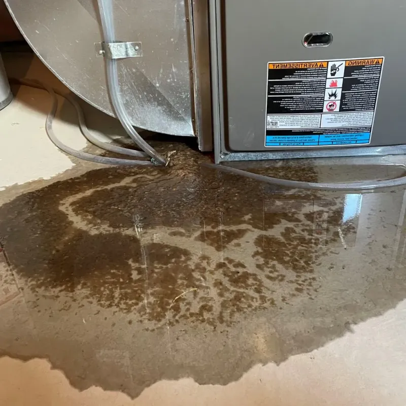Pipe Burst and Leak Restoration in Anoka, MN