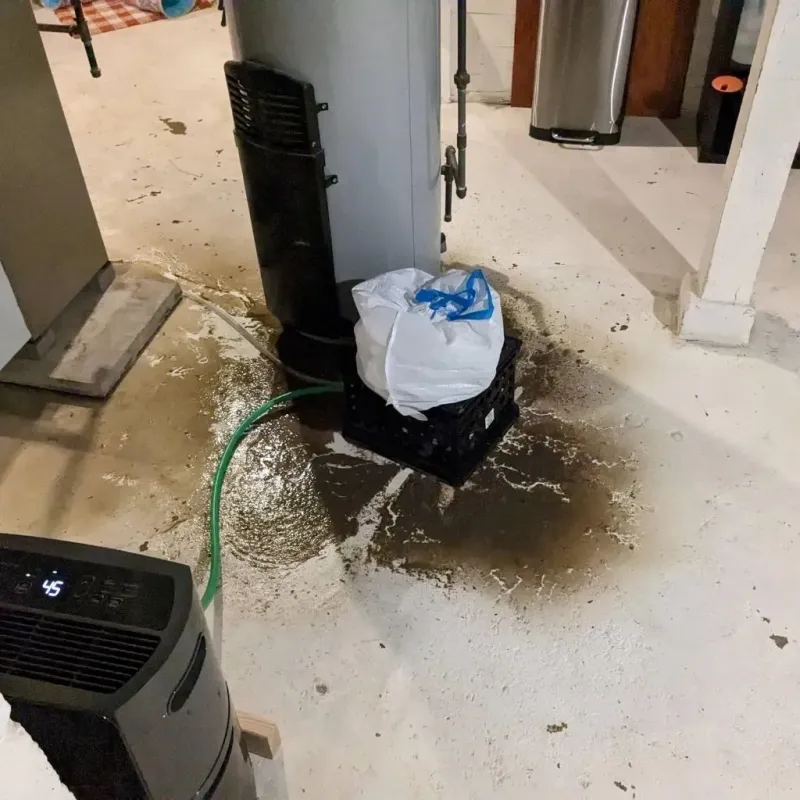 Sewage Backup Cleanup Service in Anoka, MN